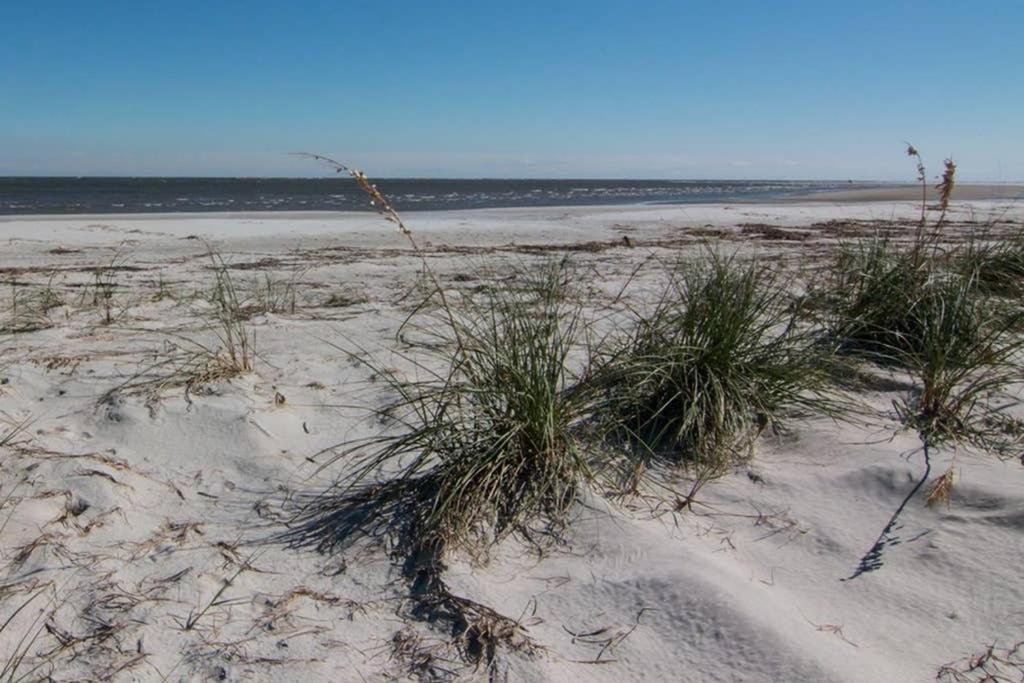 Pelican Point Unobstructed Beach Views Beach Access Out Back Door! Harbor Island Екстер'єр фото